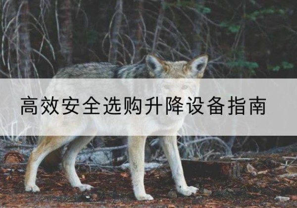 明水升降货梯厂家推荐-*安全选购升降设备指南