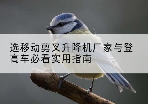 明水电动升降机厂家-选移动剪叉升降机厂家与登高车必看实用指南