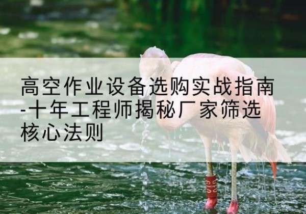 明水剪叉式升降机厂家-高空作业设备选购实战指南-十年工程师揭秘厂家筛选核心法则